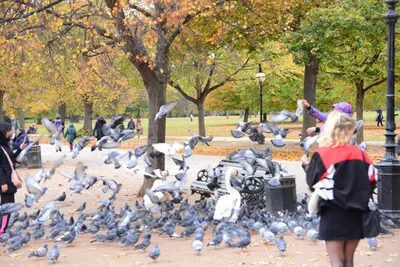 DSC_0623 (Large).JPG